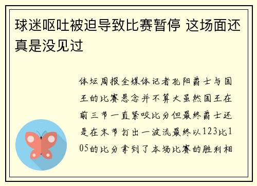 球迷呕吐被迫导致比赛暂停 这场面还真是没见过